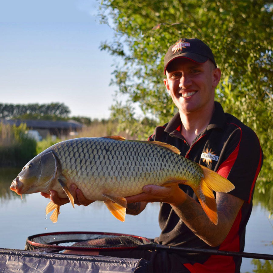 Dynamite Polo Shirt Black/Red